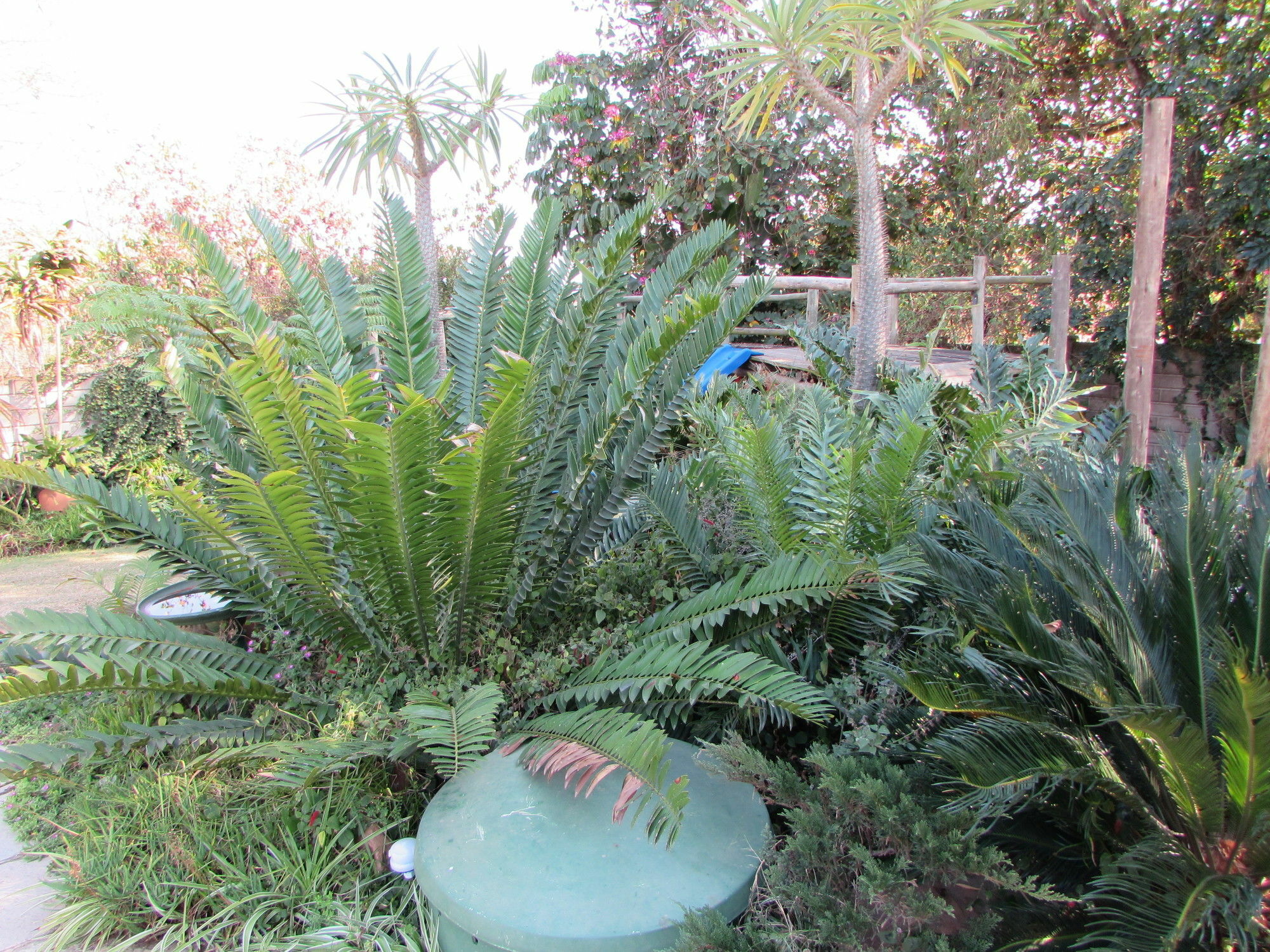 Matt's Rest B&B&Self Catering Pietermaritzburg Exterior foto